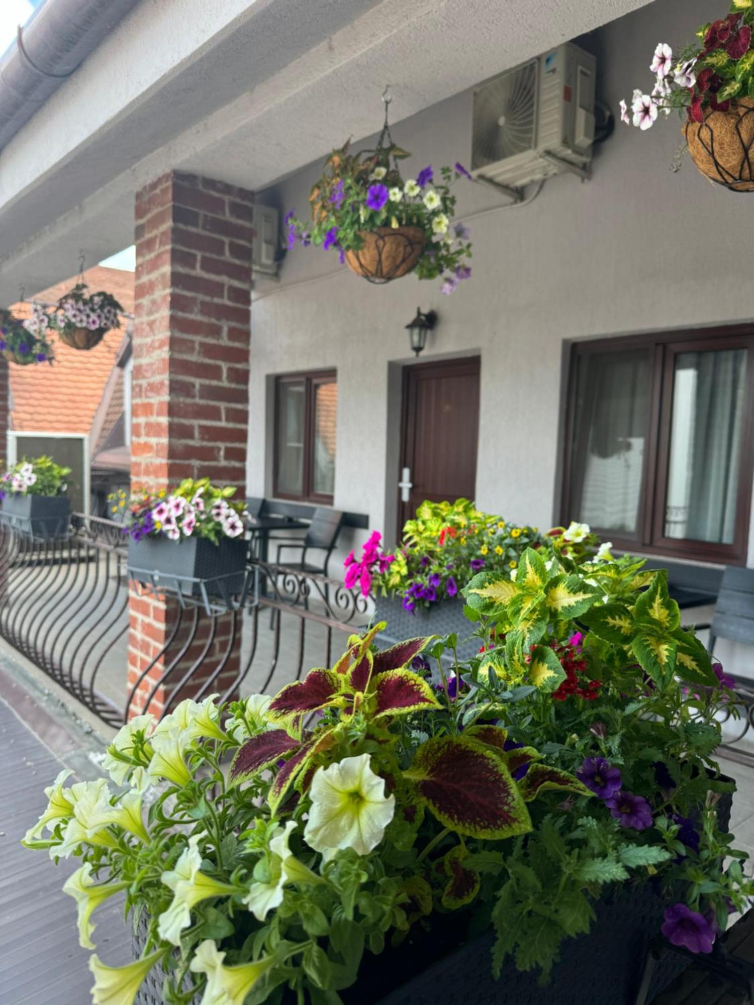 Casa Mignon Hotel Oradea Eksteriør billede