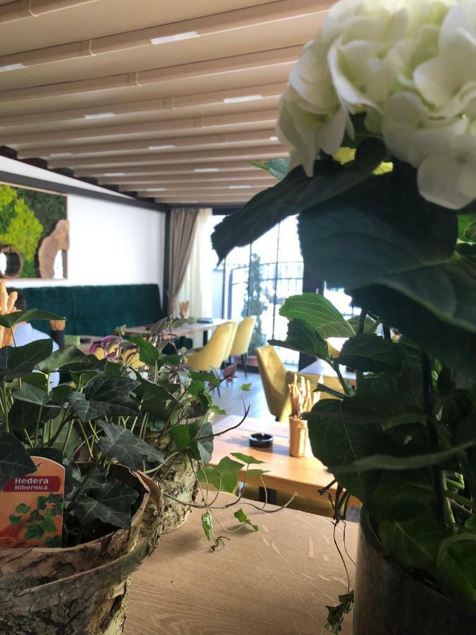 Casa Mignon Hotel Oradea Eksteriør billede